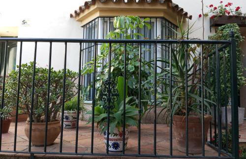 corazón de jerez edificio de 1861 - Foto 4