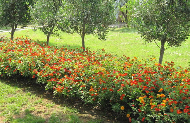 Messinian Blue SeaSide Villa - Photo 28