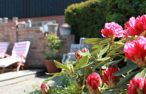 Alte Scheune - Foto 11