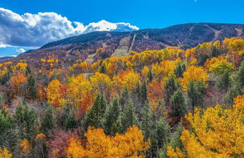 Fall Line W212 - Foto 2