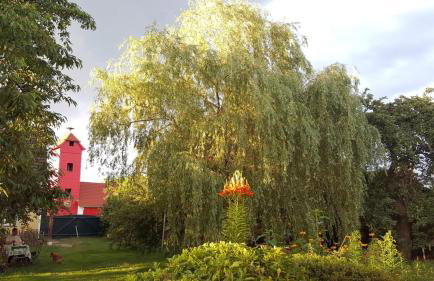 StorchenHof - Foto 25