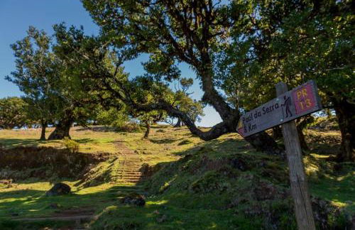 Casa Pereira – Snooker, Wi-Fi, Bbq, Pool - Foto 15