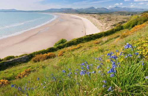 Becws Clyd - Foto 18