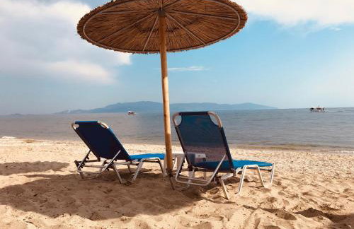 Dimitra Beach Apartments - Nea Karvali Kavala - Photo 34