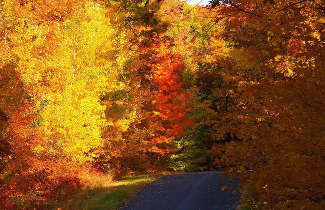 Sandys Beach House - Photo 30