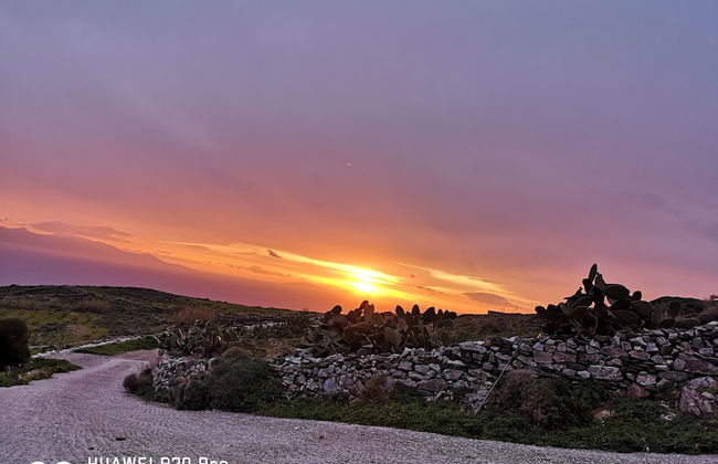 Thor & Freyja's of Poseidonia Syros Holiday House - Foto 55
