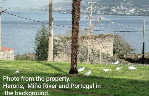 La de Simón - Foto 41