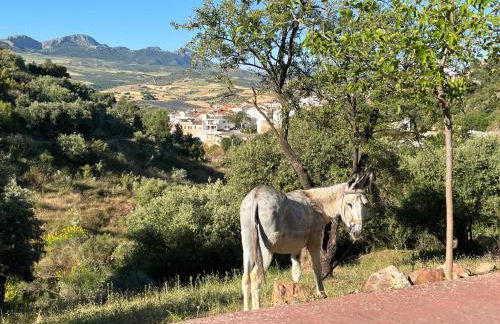 La Bermeja, Alojamiento completo, terraza con bañera y vistas panorámicas - Foto 19