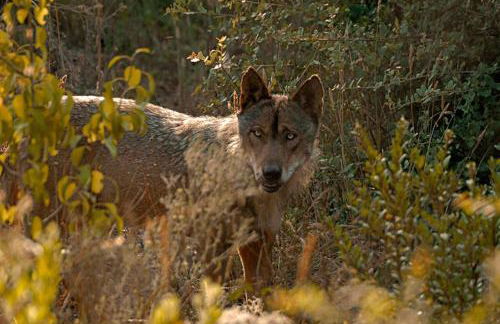 Hospedería El Pico del Fraile - Foto 22