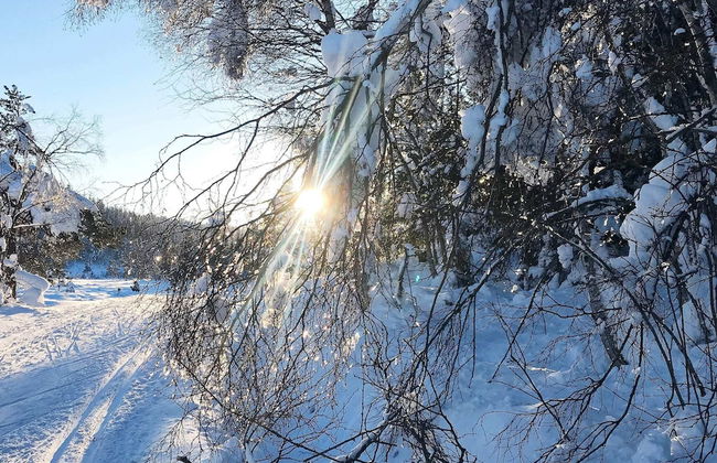 15 Person Holiday Home in Treungen - Foto 14