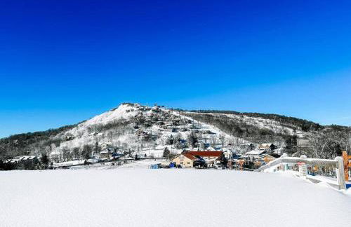 On Top Of Everything at Beech - Foto 33