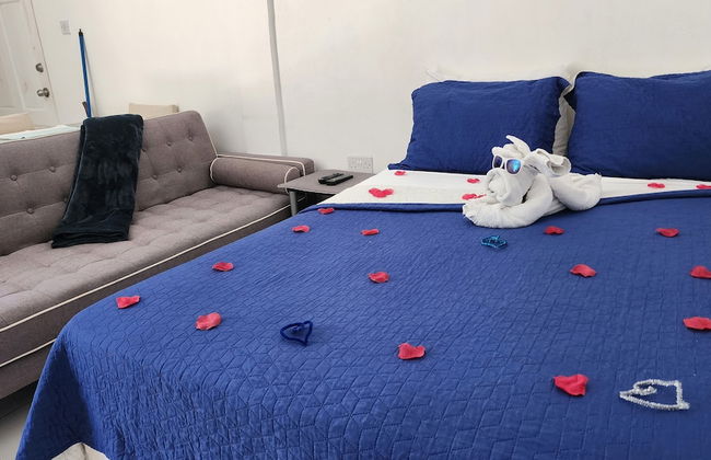 Caribbean Dream Vacation Property - Foto 65