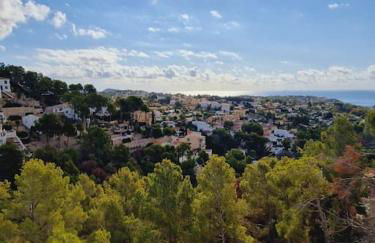 Noahs Paradise - Foto 33