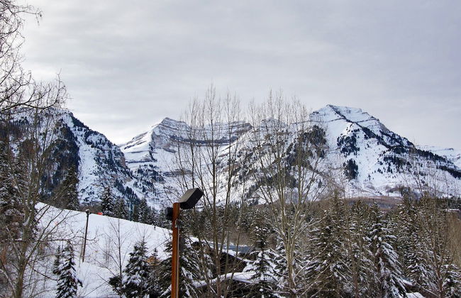 Log Cabin on the Stream - Photo 34