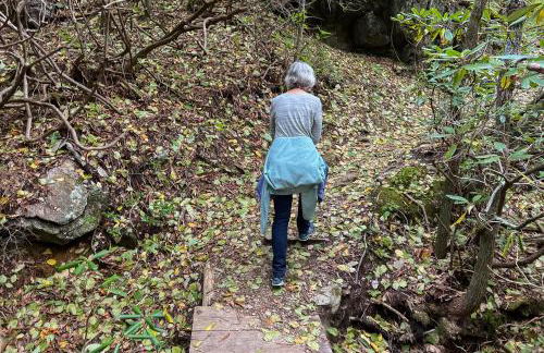 Love Ridge Mountain Lodging - Foto 32