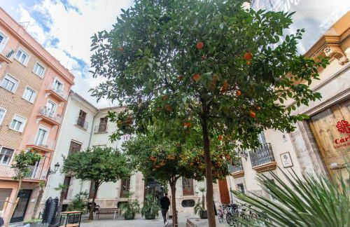 VLC - Cisneros - Photo 35