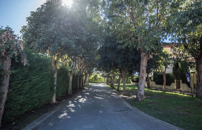 Il Sole Di Scalea - Foto 34