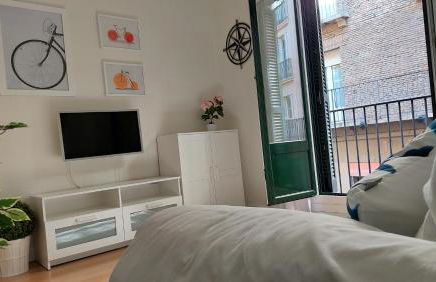 Ibarrenea Apartamento - Foto 9