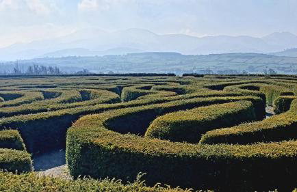 Whitehill Cottage - Photo 20