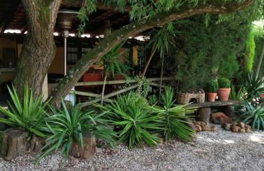 Casa De Campo Colmeal - Foto 49