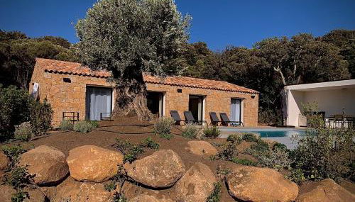 DOMAINE NAPOLEON CORSICA FIGARI - Foto 5, Garden, Garden view