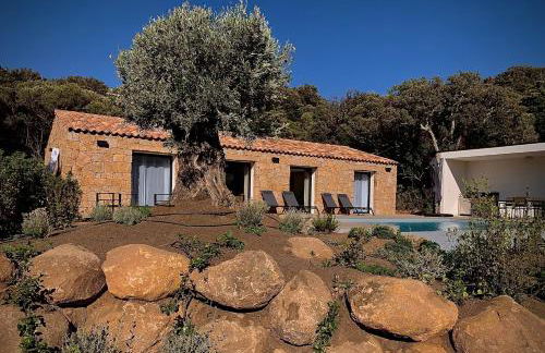 DOMAINE NAPOLEON CORSICA FIGARI - Foto 5