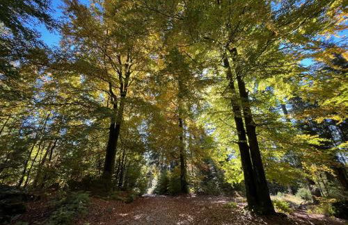 Fichtellofts - Foto 21