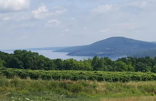 Woodland Hideaway - Foto 75