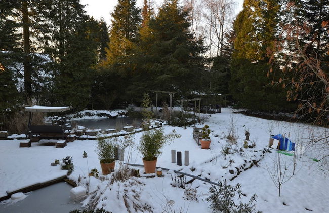 Apartment With a Balcony in Manderscheid - Photo 51