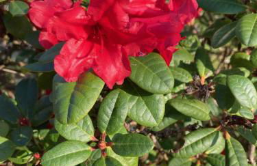 Suiten im alten Berghotel Antonia - Foto 28