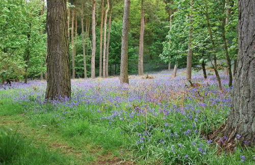 High Moor Cottage - Foto 16