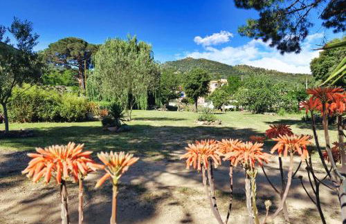 CASA di u cuginu - Foto 15