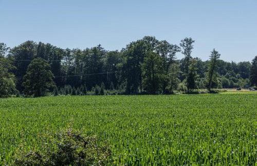 Ferienwohnung Schürer - Foto 28