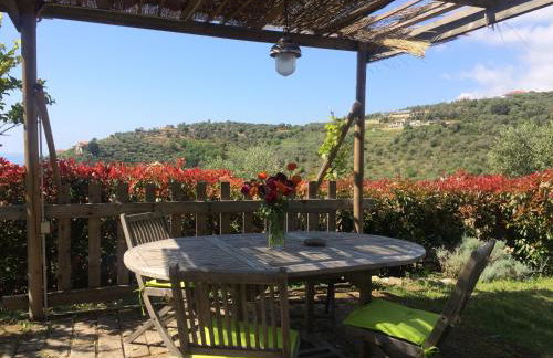 Uliveto Saglietto Agriturismo a Poggi Apartments - Foto 117