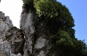 Kalliopi Hotel - Foto 10