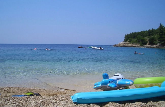 Dino - Gorgeous Garden - SA1 Zavala - Photo 21