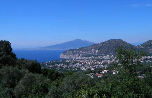 Gli Ulivi Agriturismo - Foto 18