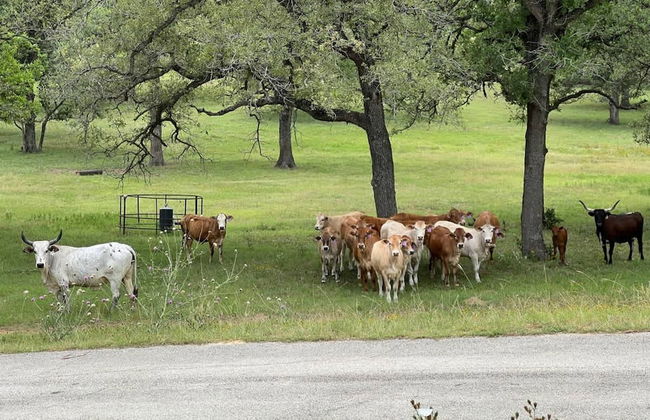Spacious 90-acre Ranch Ideal for Families Reunions Events Sleeps 13 San Marcos River Access - Foto 38