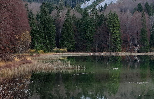 Holiday Apartment Siegsdorf in Bavaria - Foto 22