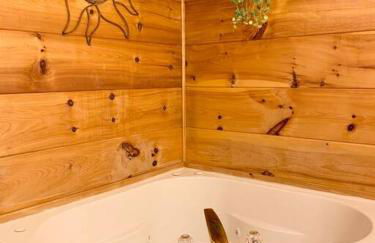 Log Cabin Walkable to Lake Lure & Chimney Rock - Blue Skies - Foto 25