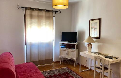 Lines of Wellignton - Foto 8