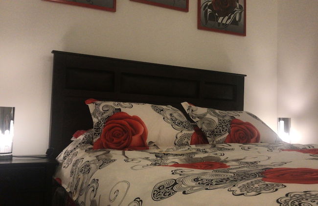 Cosmopolita - Foto 7