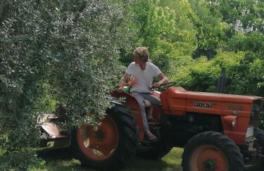 Agriturismo Campolungo - Foto 17