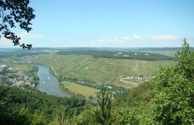 "moseltor" Comfortable Holiday Residence - Foto 15