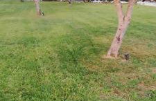 Aloni Studios and Apartments - Photo 11