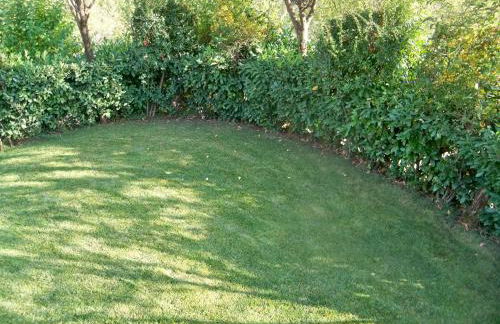 IL Casaletto - Foto 12