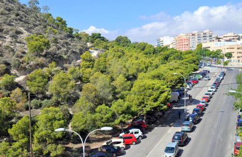 Flamenco I - Photo 10
