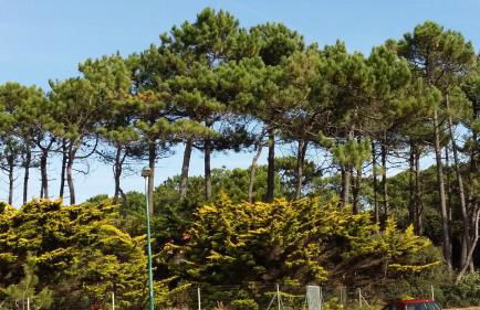 Appartement l'Archipel - Vue mer exceptionnelle et bassins aquatiques du 29 avril au 15 sept - Foto 47