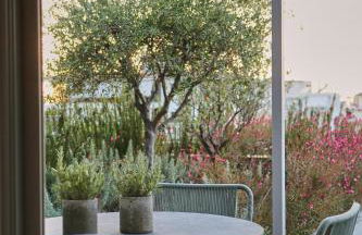 Brasil Suites Boutique Hotel - Foto 31