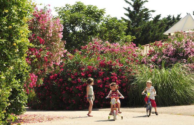 Le Domaine du Mas Blanc by Popinns - Foto 57